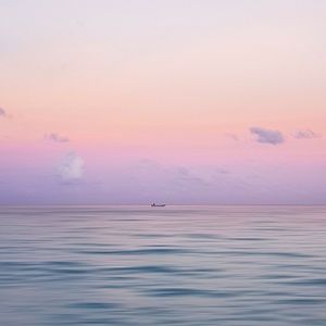 Meet your Posher, Wayne